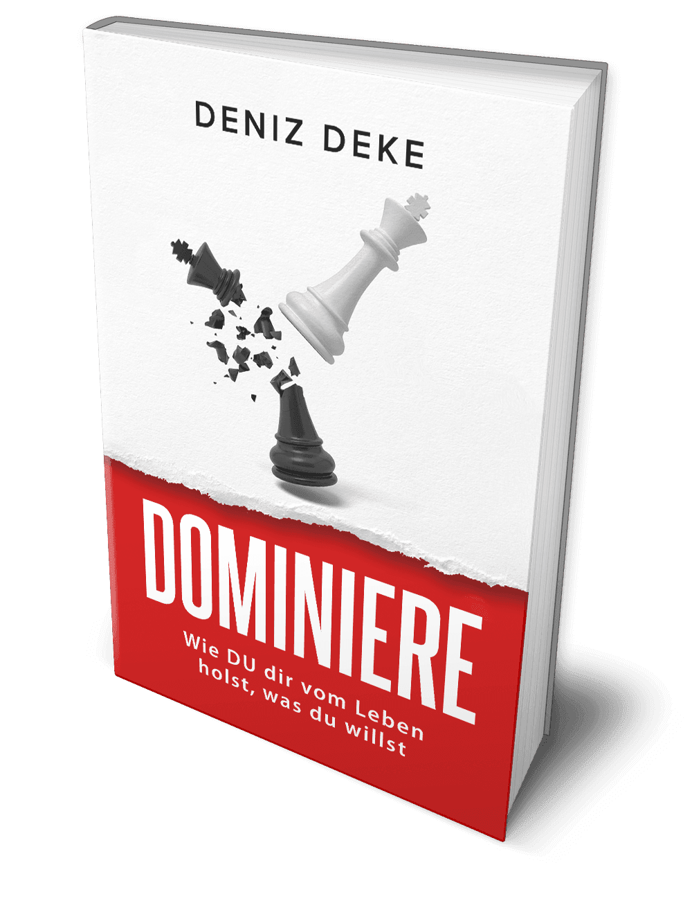 „Dominiere dein Leben“ im Rezensions-Check: Wie sich der Ratgeber von Deniz Deke ins Genre Persönlichkeitsentwicklung einordnet